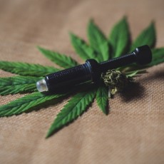 The intake of CBD oil at disorders